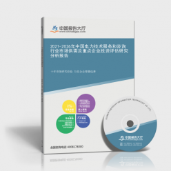 2021-2026年中國電力技術服務和咨詢行業(yè)市場供需及重點企業(yè)投資評估研究分析